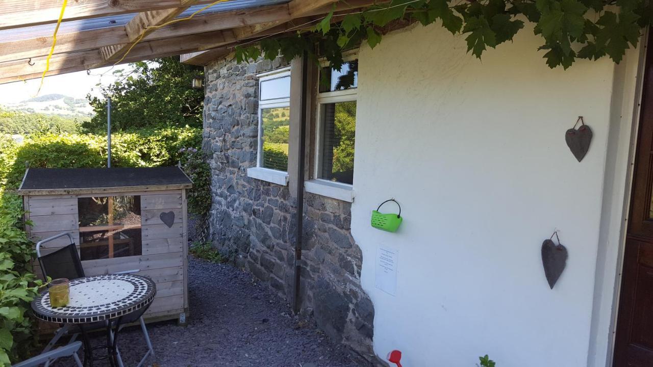 Pen Y Geulan Villa Machynlleth Esterno foto